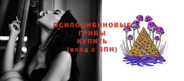 spice Горняк