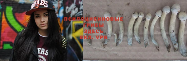 2c-b Вязьма