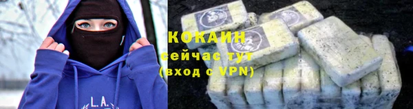 твердый Вязники