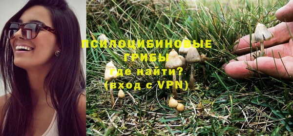 твердый Вязники