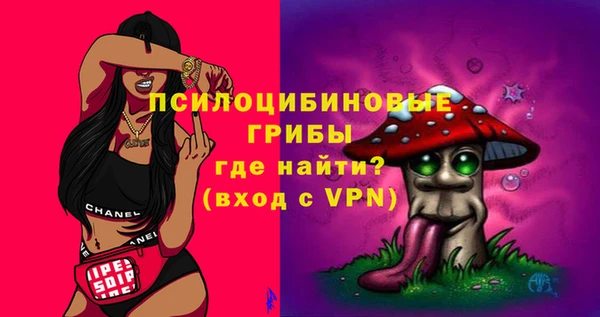 мдпв Горно-Алтайск