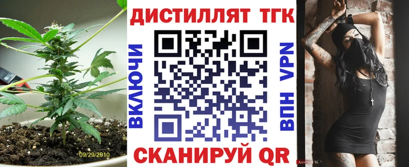MEGA зеркало  Далматово  ТГК концентрат 